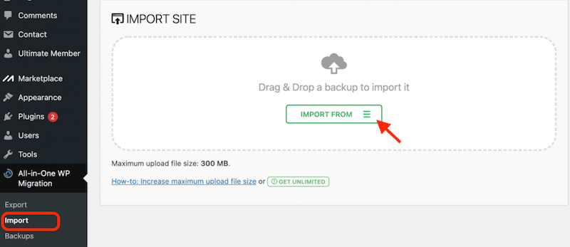 Import backup with WordPress theme