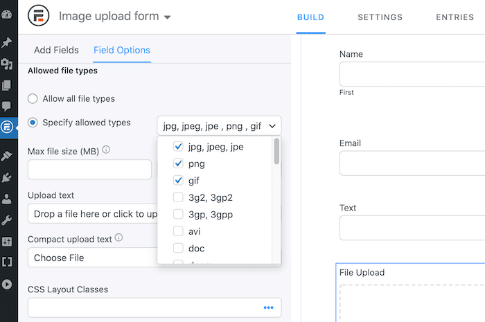 The Formidable Forms plugin.