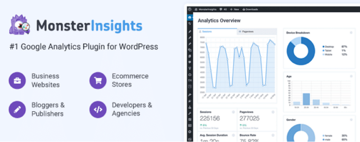 MonsterInsight WordPress Plugin