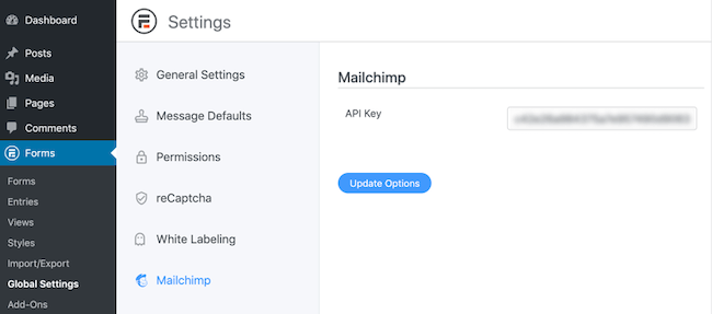 Where to put your Mailchimp API key in Formidable Forms