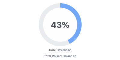Charity tracker template goal chart