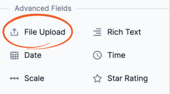 Formidable Forms file upload field