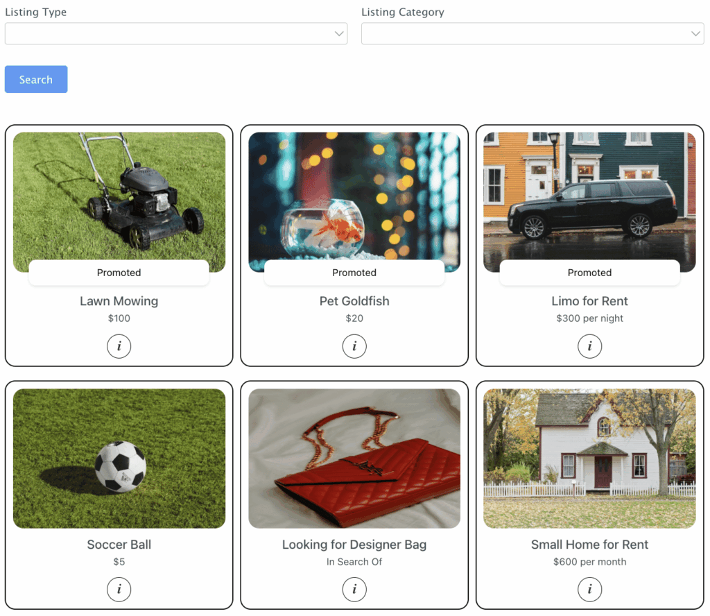 WordPress Classifieds Plugin Template - Formidable Forms Web App Builder Example