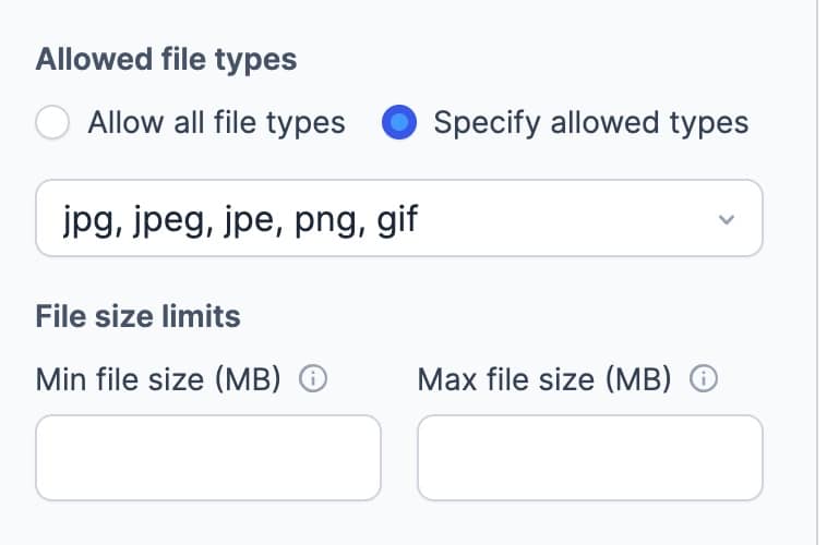 Upload field options showing allowed file types and max file size