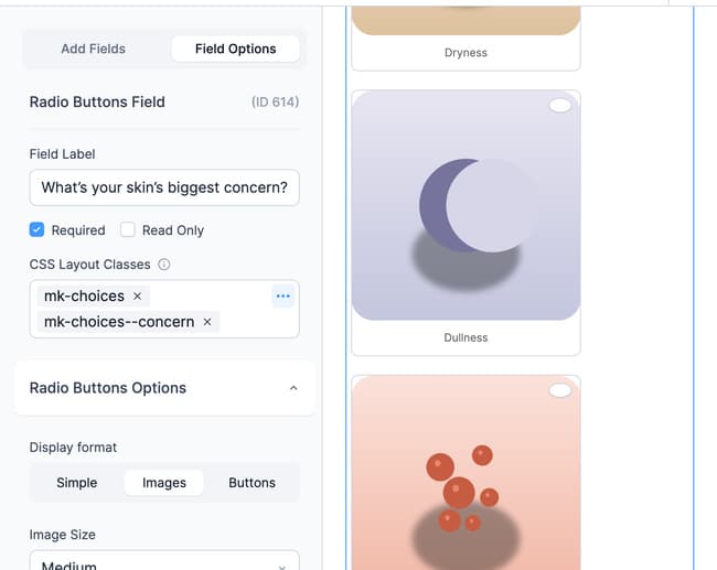 Backend Builder Image Options Field