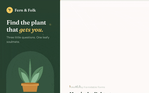 Formidable Forms Conversational Form Example
